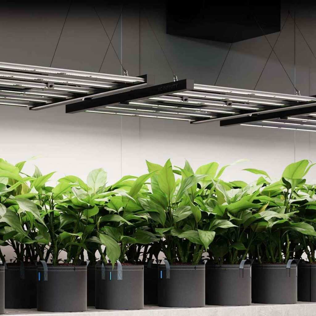 AC Infinity IONFRAME EVO8 | Samsung LM301H EVO LED Grow Light | 730W | bis 150 x 150 cm – Bild 6