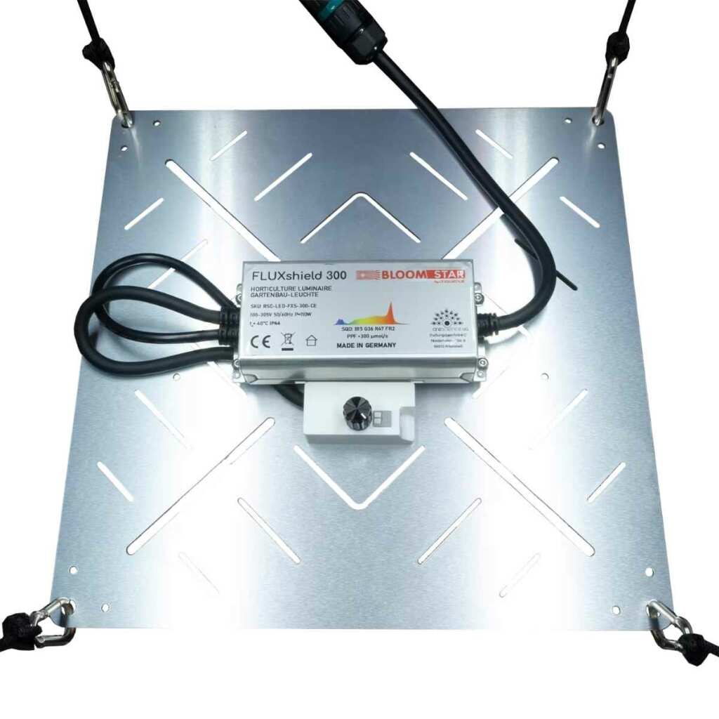 BloomStar FLUXshield Habibi 300 | 100 Watt – Bild 3