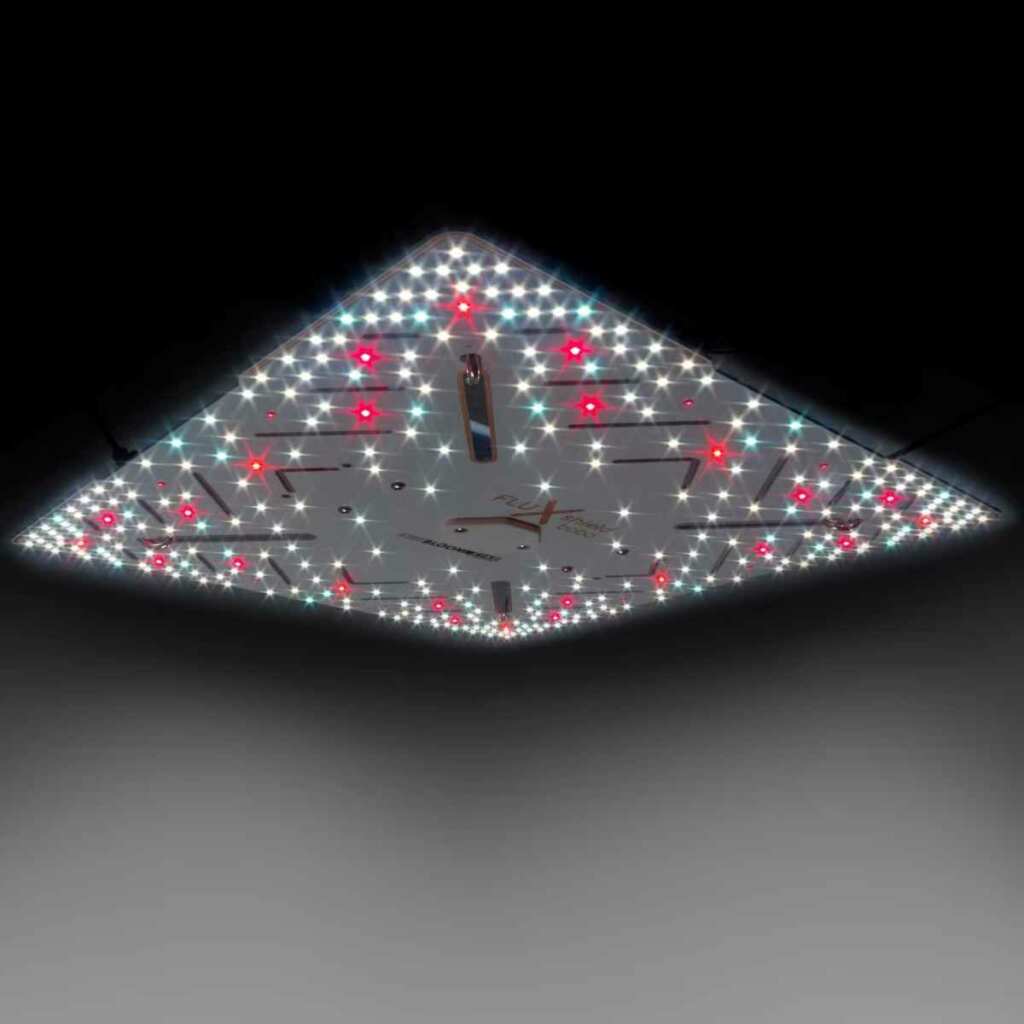 BloomStar FluxShield Babo 450C | 160 Watt