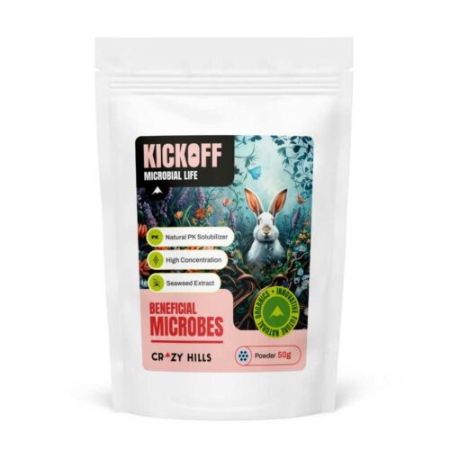 Crazy Hills | Kickoff 50g