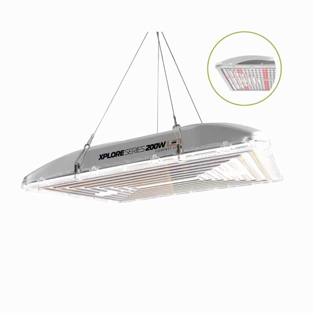 Dimlux Xplore 200 Watt CompactLine | LED Grow Lampe | 530 µmol/s