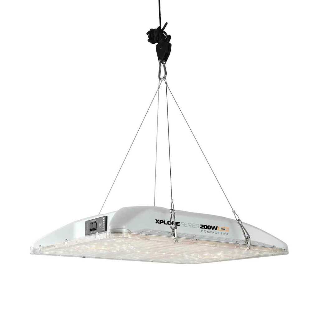 Dimlux Xplore 200 Watt CompactLine | LED Grow Lampe | 530 µmol/s – Bild 2