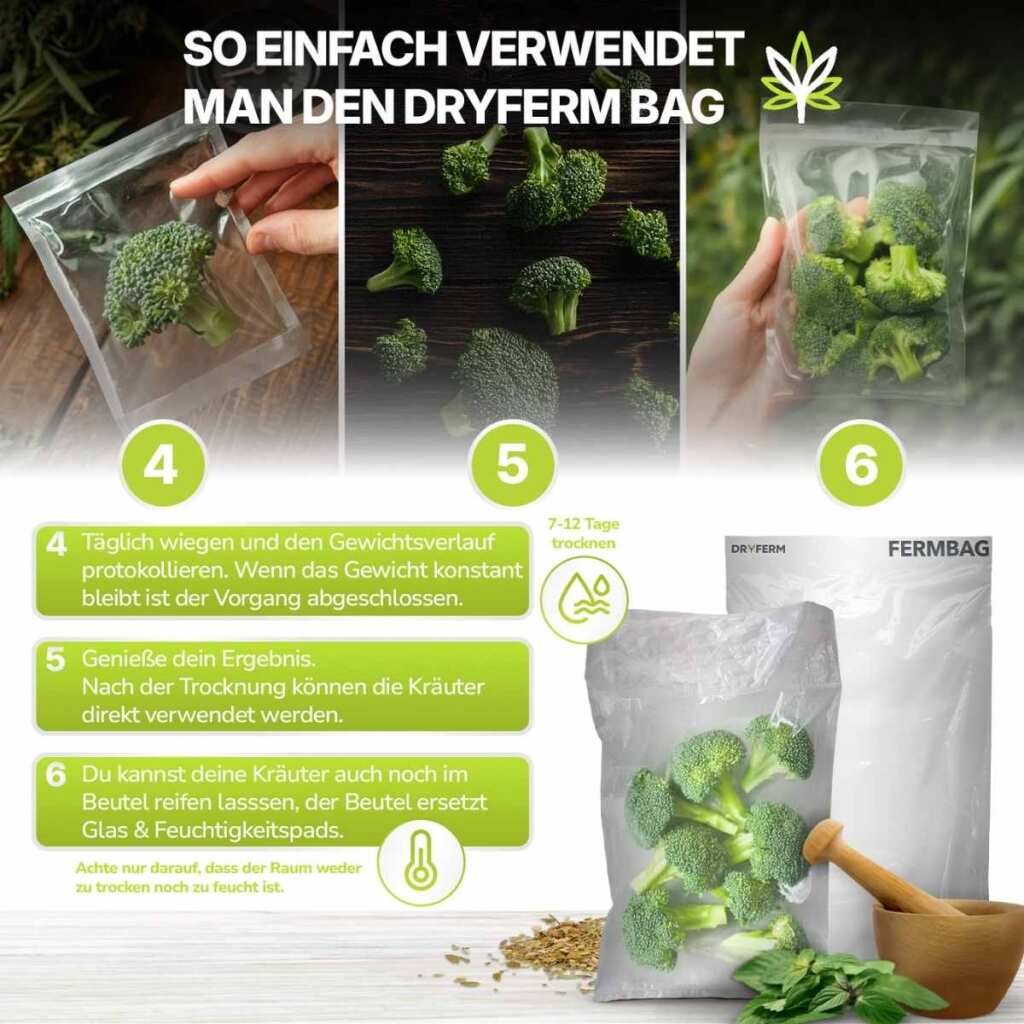 Dryferm BAG | 30x50cm | 100-250g | 3 Stück – Bild 6