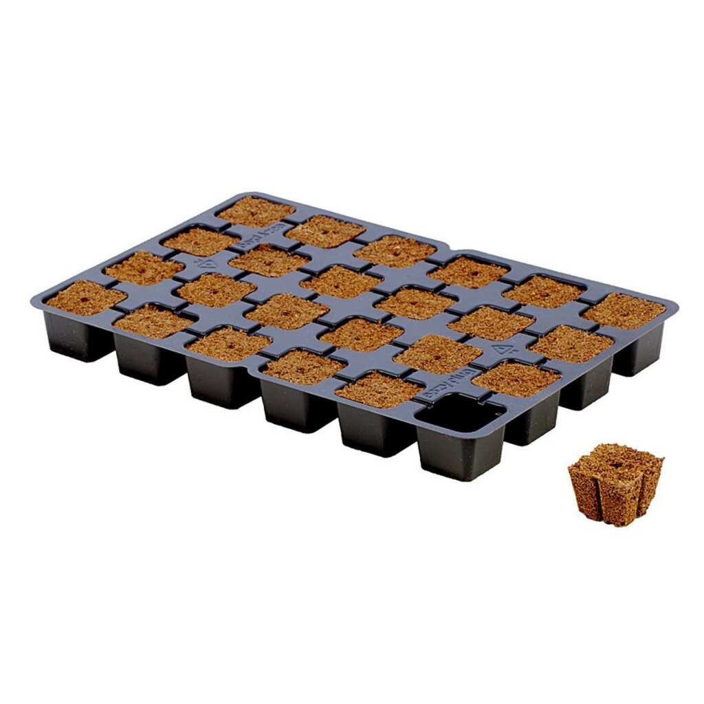 Eazy Plug 24er Tray Anzuchtwürfel