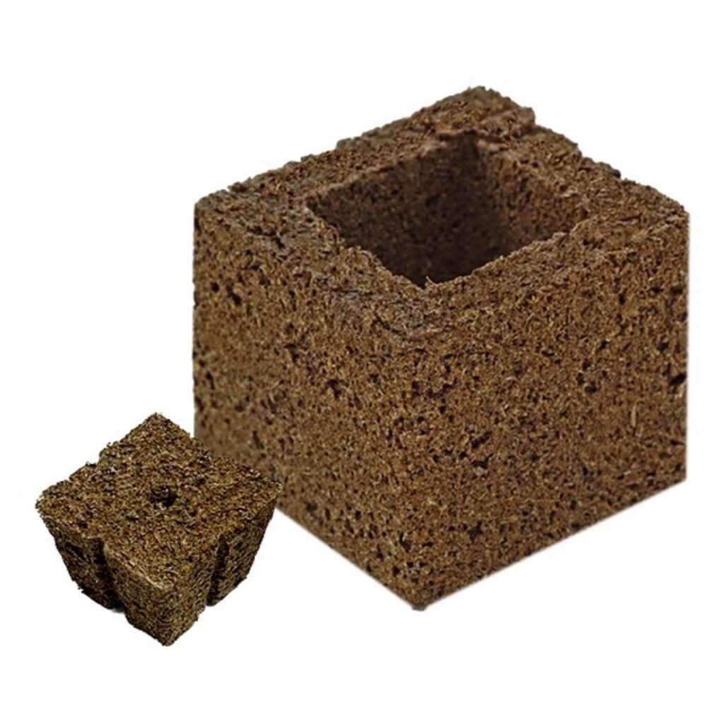 Eazy Plug 24er Tray Anzuchtwürfel – Bild 4