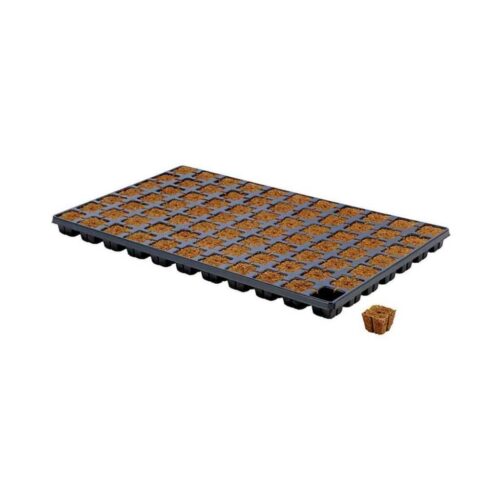 Eazy Plug 77er Tray Anzuchtwürfel