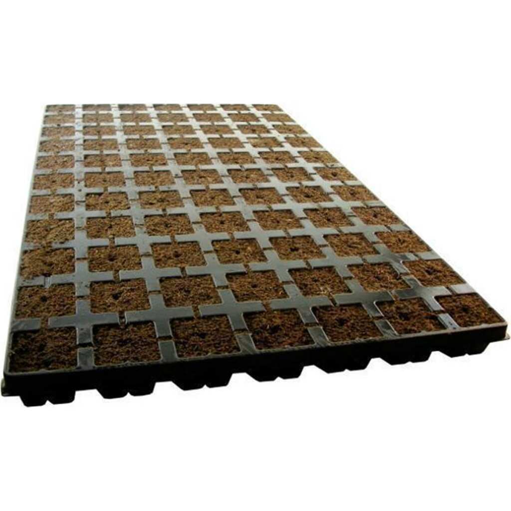 Eazy Plug 77er Tray Anzuchtwürfel – Bild 3