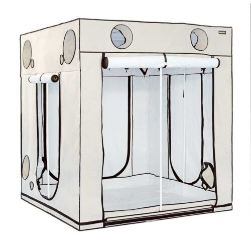 HOMEbox | Ambient Q200+ | Growbox | 200x200x220cm