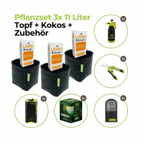 All-in-One Kokos Grow‑Set | 3 Pflanzen