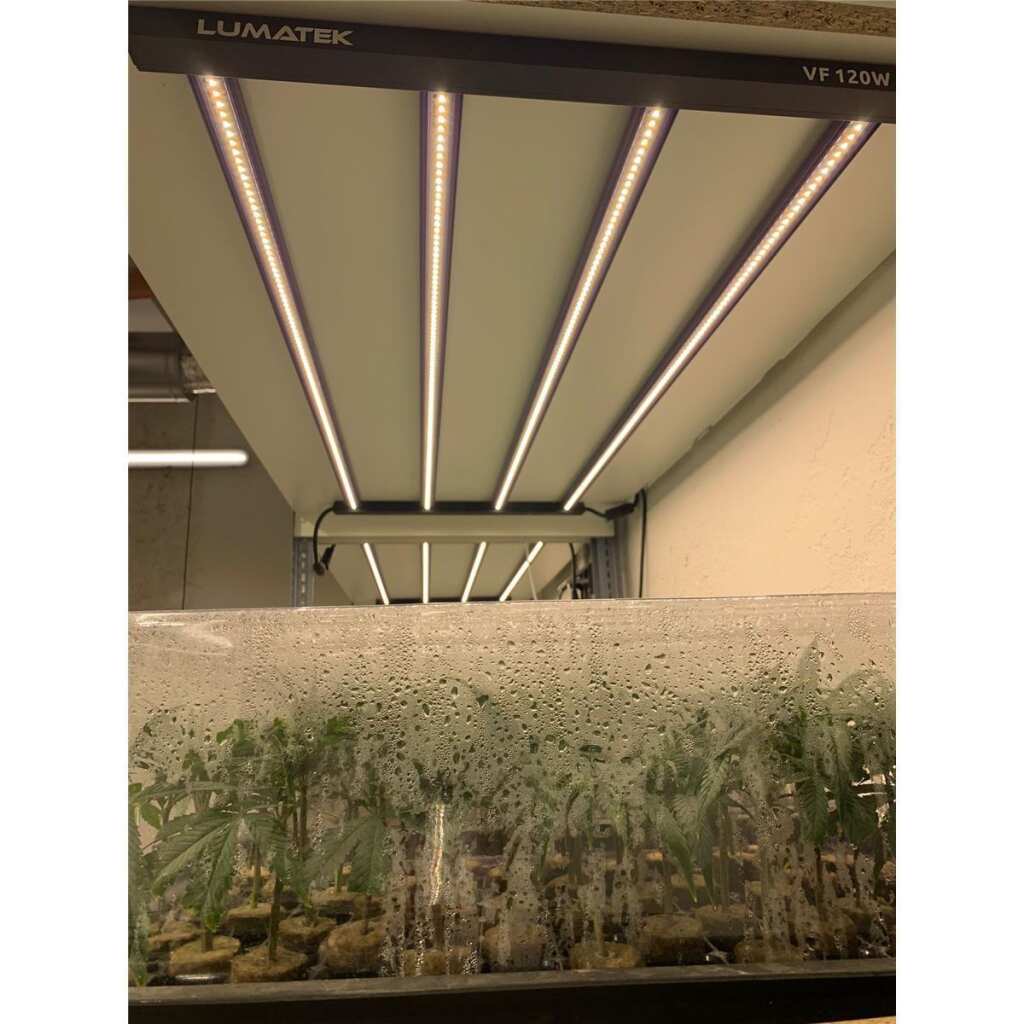 Lumatek | 120W Anzucht LED-Lampe | Sämlinge | Stecklinge | Vertical Farming | 120 Watt | 308 µmol/s – Bild 3