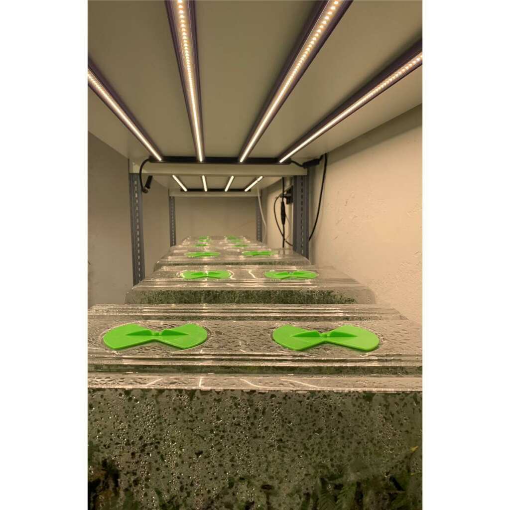 Lumatek | 120W Anzucht LED-Lampe | Sämlinge | Stecklinge | Vertical Farming | 120 Watt | 308 µmol/s – Bild 4