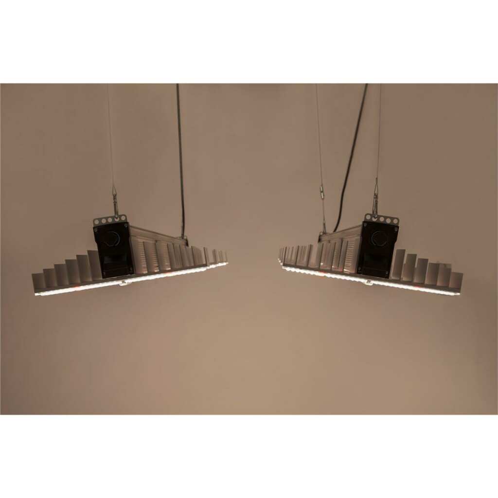 SANlight EVO 3-60 1.5 | 200 Watt | 545 µmol/s – Bild 5