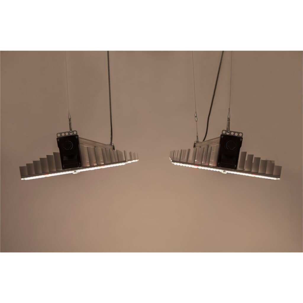 SANlight EVO 5-100 1.5 | 340 Watt | 915 µmol/s – Bild 5