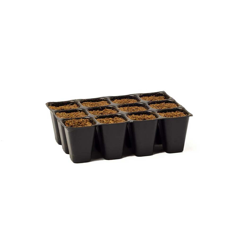 BioTabs | Seedplugs | Anzuchtwürfel für Samen | 12 Stück – Bild 3