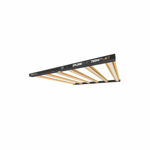 Dimlux Xplore 730 Watt 2.7 | LED Grow Lampe | 1978 μmol/s